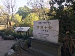 -西湖外事游船(花港观鱼码头)