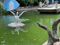 -费瑟代尔野生动物园