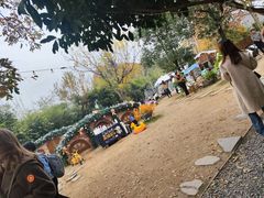 -HERRE·FARM 赫尔露营农场·团建聚会包场