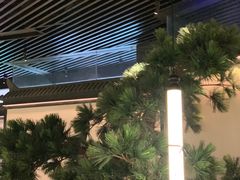 -绿茶餐厅(成都大悦城店)