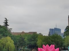 -徽园
