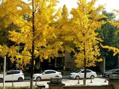 -黔蘑菇四季餐厅(观山湖店)