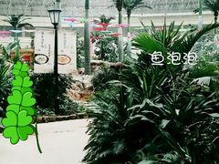 -青岛海泉湾度假区温泉