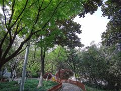 -双拥公园