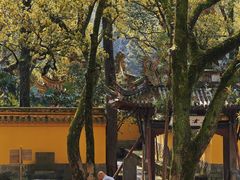 -阿育王寺素斋馆