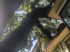 -普陀山雷迪森庄园