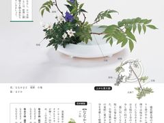 -今日陶艺(富力广场店)