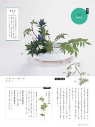 -今日陶艺(富力广场店)