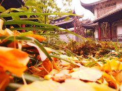 -龙潭水乡
