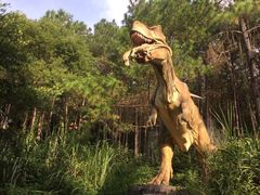 -森波拉奇妙世界