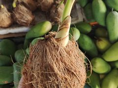 -林旺社区水果市场