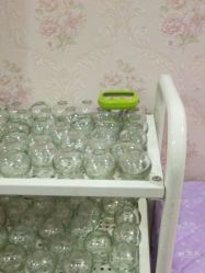 -苗塑堂减肥艾灸