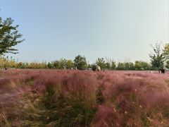 -八珍饺子·烤鸭·家常菜