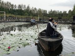 -溱湖国家湿地公园