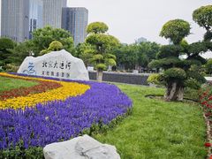-西海子公园