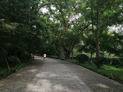 -紫霞湖公园
