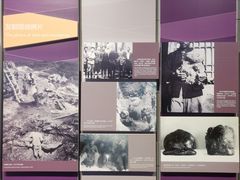 -北京周口店北京人遗址博物馆