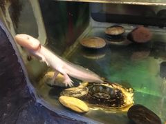 -上海昆虫博物馆