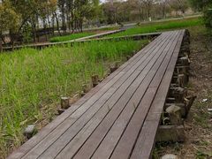 -长田漾湿地公园