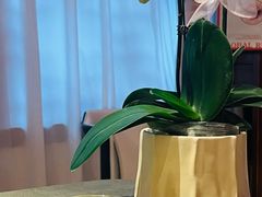 -程府宴-国宴(南长街·四合院店)