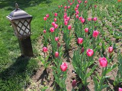 -长春公园(普阳街道)