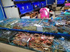 水产区-三亚新鸿港水果一级批发市场