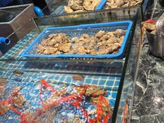 -争先鲜·蒸汽海鲜自助·鲜切牛肉