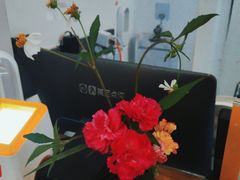 -道南書院·私房菜·早午茶·茶馆