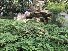 -瀛洲公园