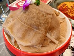 -生活如沸·顺德水牛奶火锅(大学路店)