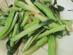 迟菜心-亚荣河鲜