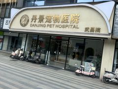-丹景宠物医院·全科·老年病·牙科(武昌诊疗中心)