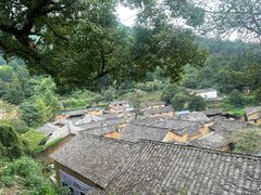 -杨家堂村