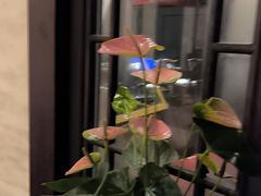 -五岳宫·私房菜