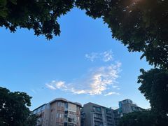 -龙眼南白粥六顺白粥