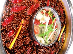 -枇杷园食为鲜火锅(南山店)