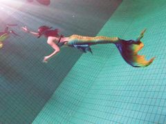 -重庆市奥林匹克体育中心-游泳跳水馆