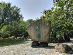 -香雪海