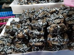 -三亚新鸿港水果一级批发市场