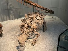 -浙江自然博物院(杭州馆)