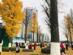 -百林公园-两江幸福广场