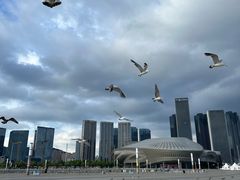 -东港音乐喷泉广场