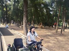 -玫瑰海岸文化旅游度假区