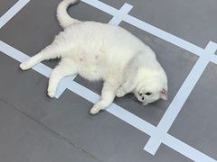 -拳盛时代拳击俱乐部(北京路店)