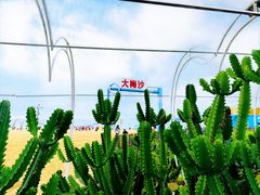-大梅沙海滨公园