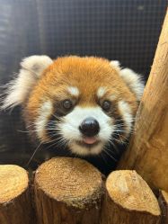 -Zoolung Zoolung动物主题公园(海信广场店)