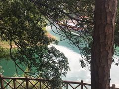-广州市流溪河国家森林公园