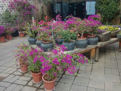 -瓦库茶馆17号(海汇港店)