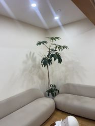 -HEYAN荷妍专业脱毛连锁机构