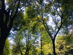 -纽斯桑拿会所(天山店)